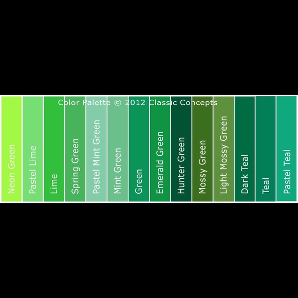 cotton/spandex Ann Taylor v neck short sleeve tee - Picture 10 of 10